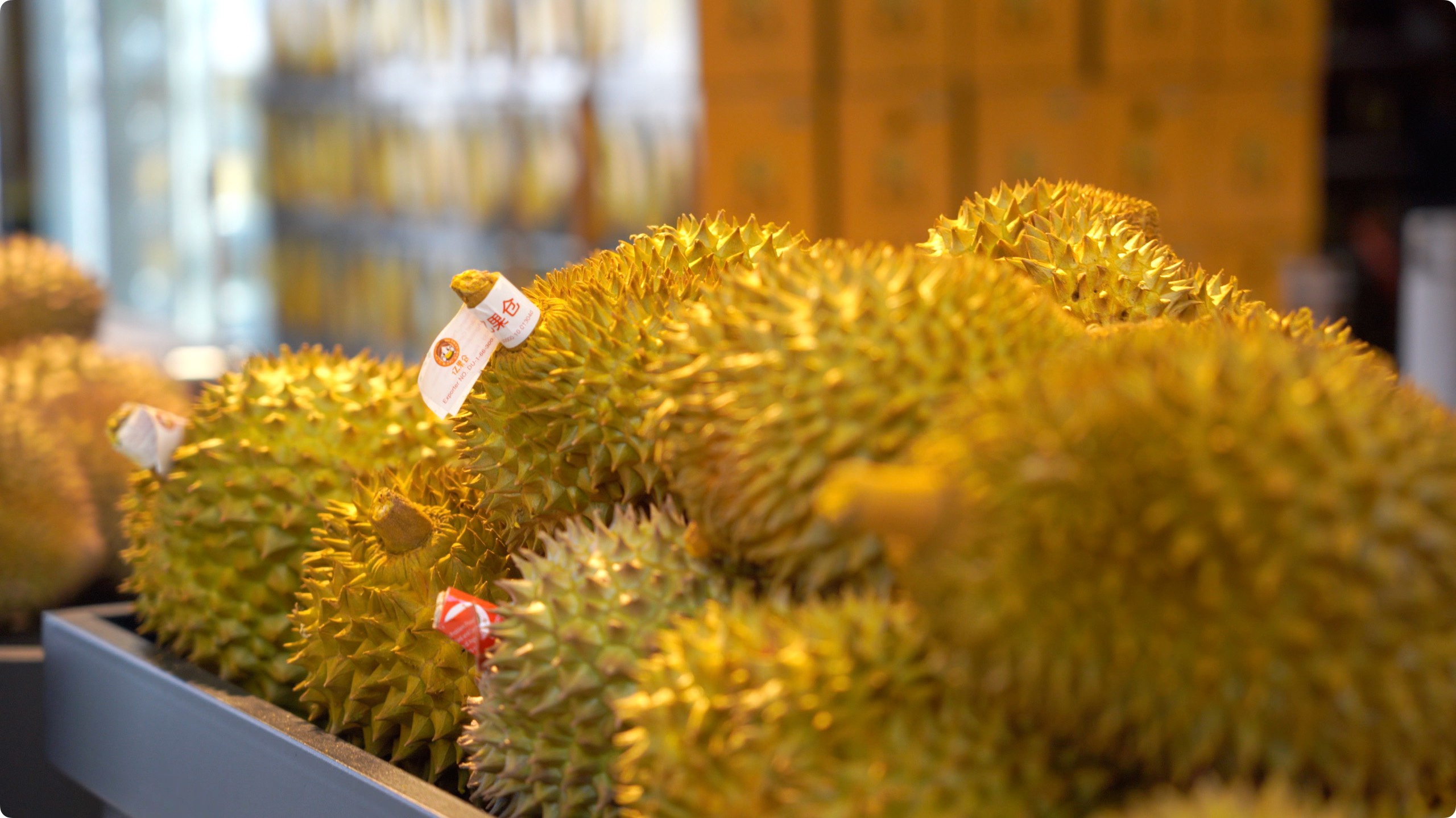 5月初，人民網(wǎng)記者申佳平攝