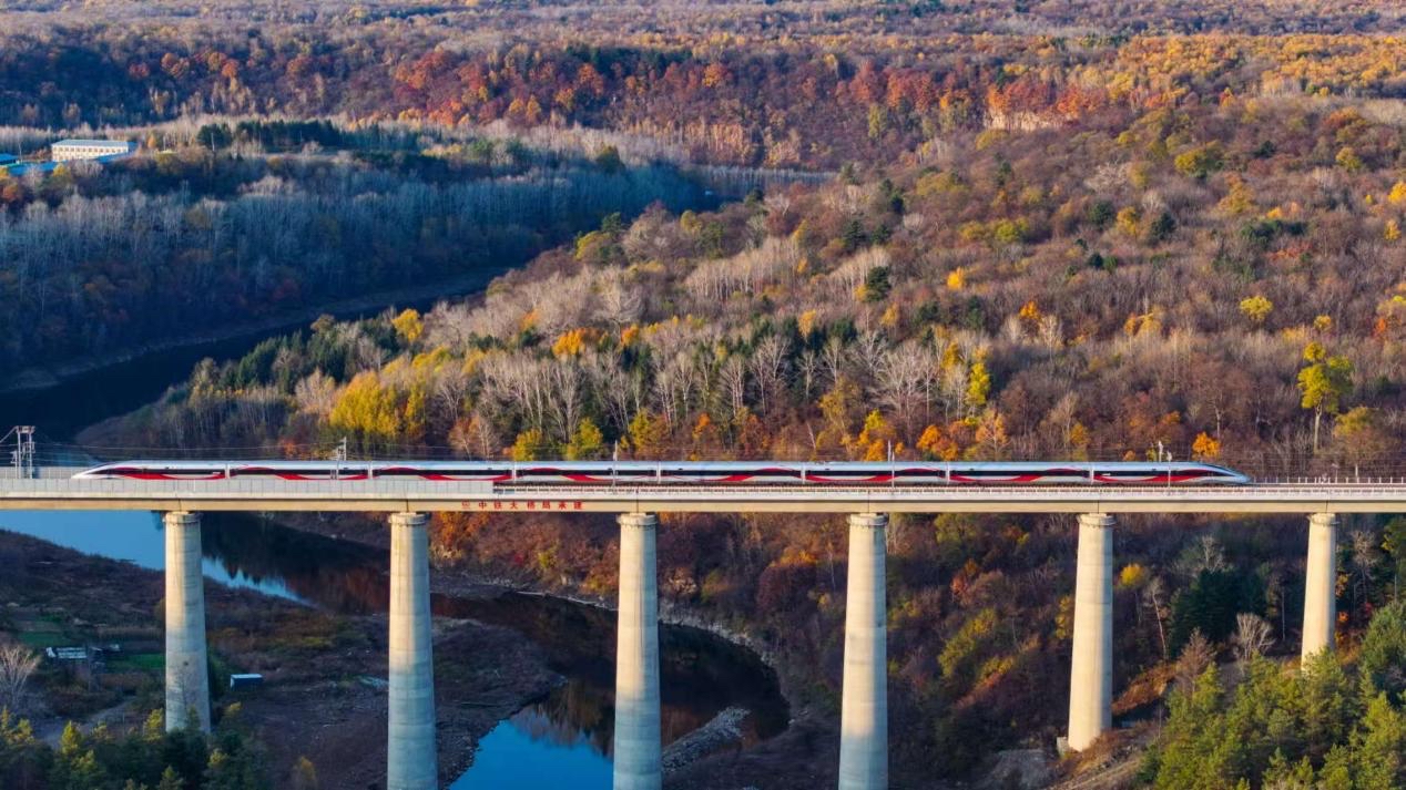 沈白高鐵正式開(kāi)通運(yùn)營(yíng)。受訪方供圖